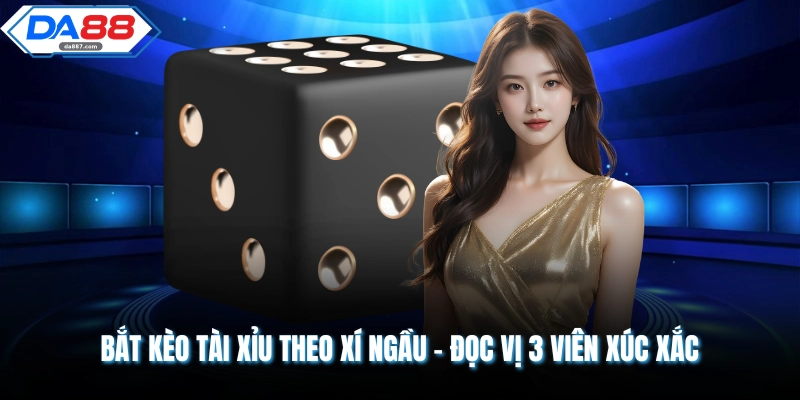 Bắt Kèo Tài Xỉu Theo Xí Ngầu - Đọc Vị 3 Viên Xúc Xắc