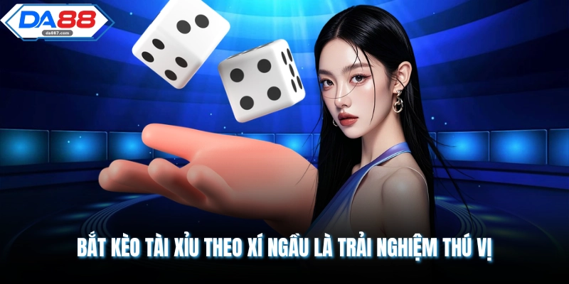 Bắt kèo tài xỉu theo xí ngầu là trải nghiệm thú vị 