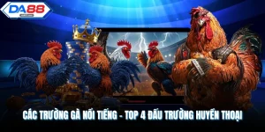 Các Trường Gà Nổi Tiếng - Top 4 Đấu Trường Huyền Thoại