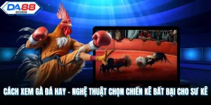 Cách Xem Gà Đá Hay - Nghệ Thuật Chọn Chiến Kê Bất Bại Cho Sư Kê