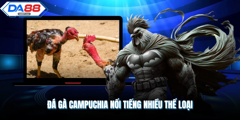 Đá gà Campuchia nổi tiếng nhiều thể loại