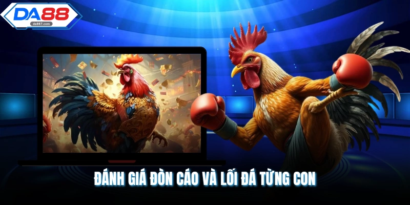 Đánh giá đòn cáo và lối đá từng con