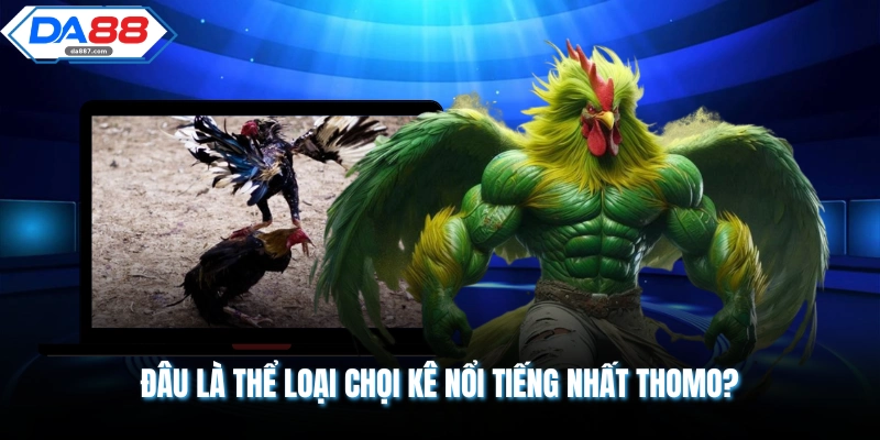 Đâu là thể loại chọi kê nổi tiếng nhất Thomo?