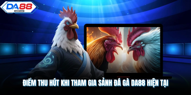 Điểm thu hút khi tham gia sảnh đá gà DA88 hiện tại