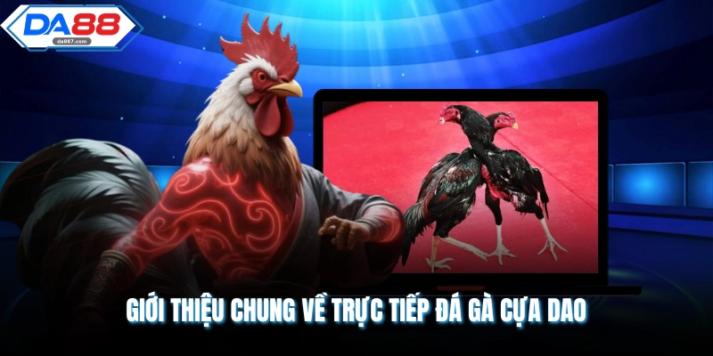 Giới thiệu chung về trực tiếp đá gà cựa dao