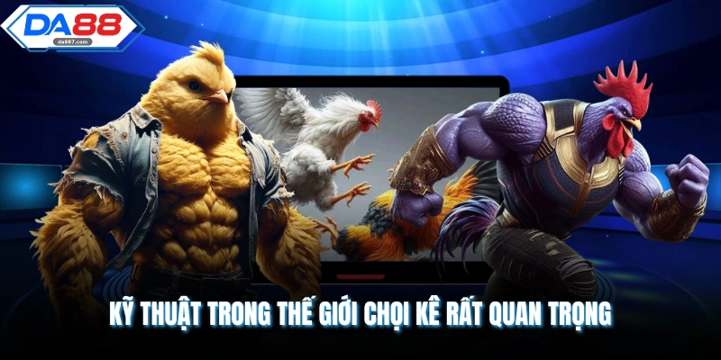Kỹ thuật trong thế giới chọi kê rất quan trọng