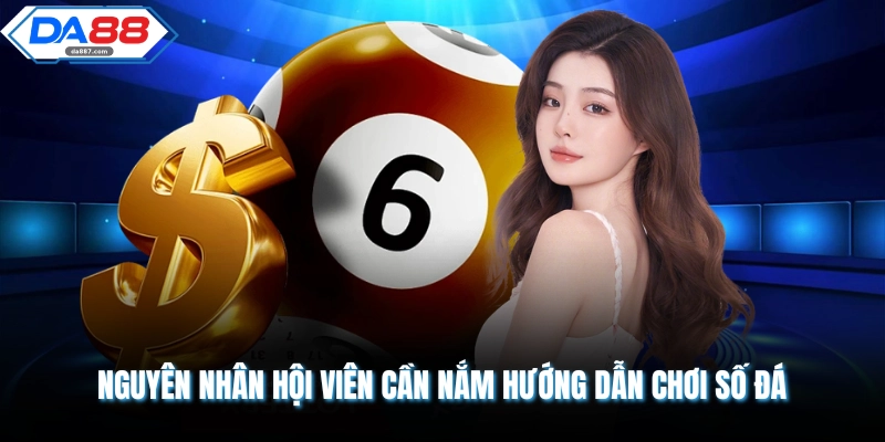 Nguyên nhân hội viên cần nắm hướng dẫn chơi số đá 