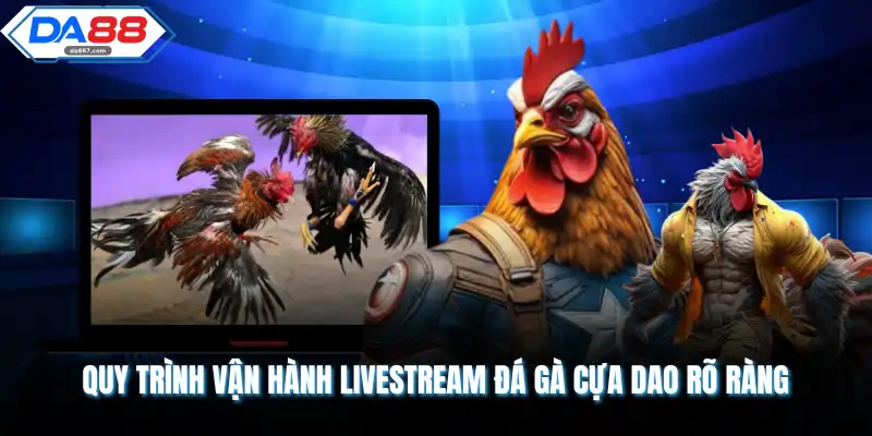 Quy trình vận hành livestream đá gà cựa dao rõ ràng