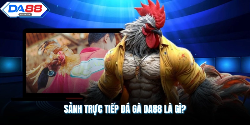 Sảnh trực tiếp đá gà DA88 là gì?