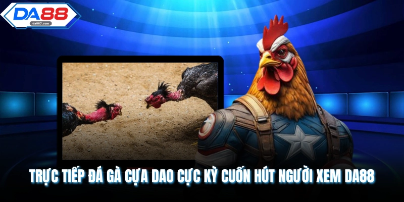 Trực Tiếp Đá Gà Cựa Dao Cực Kỳ Cuốn Hút Người Xem DA88
